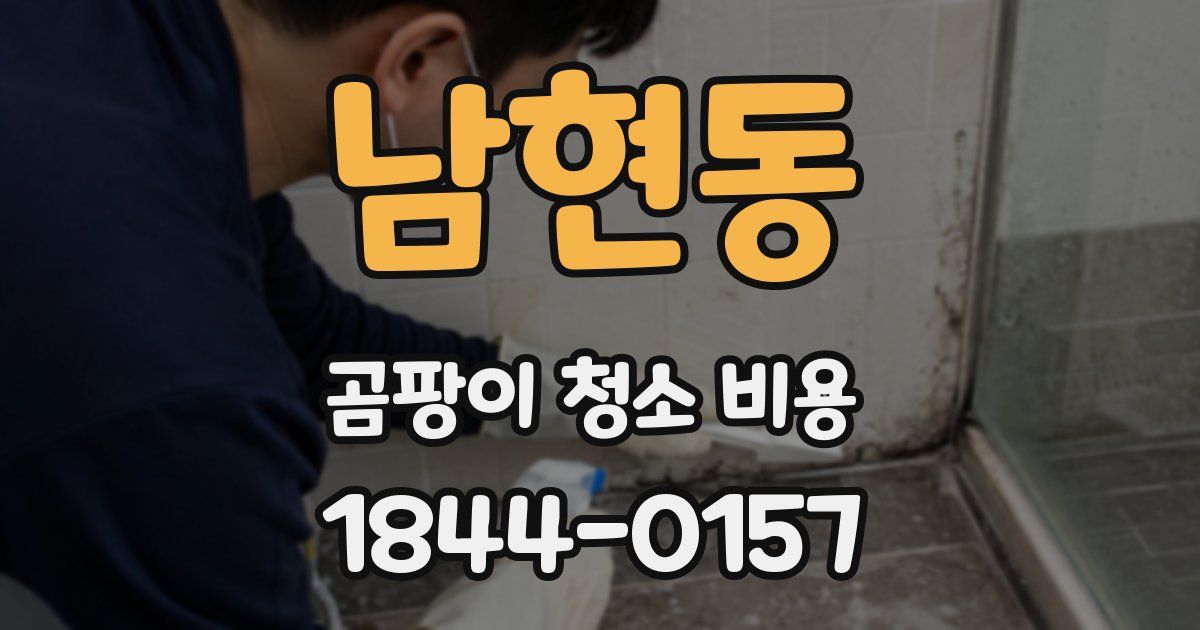 남현동 곰팡이 청소 비용