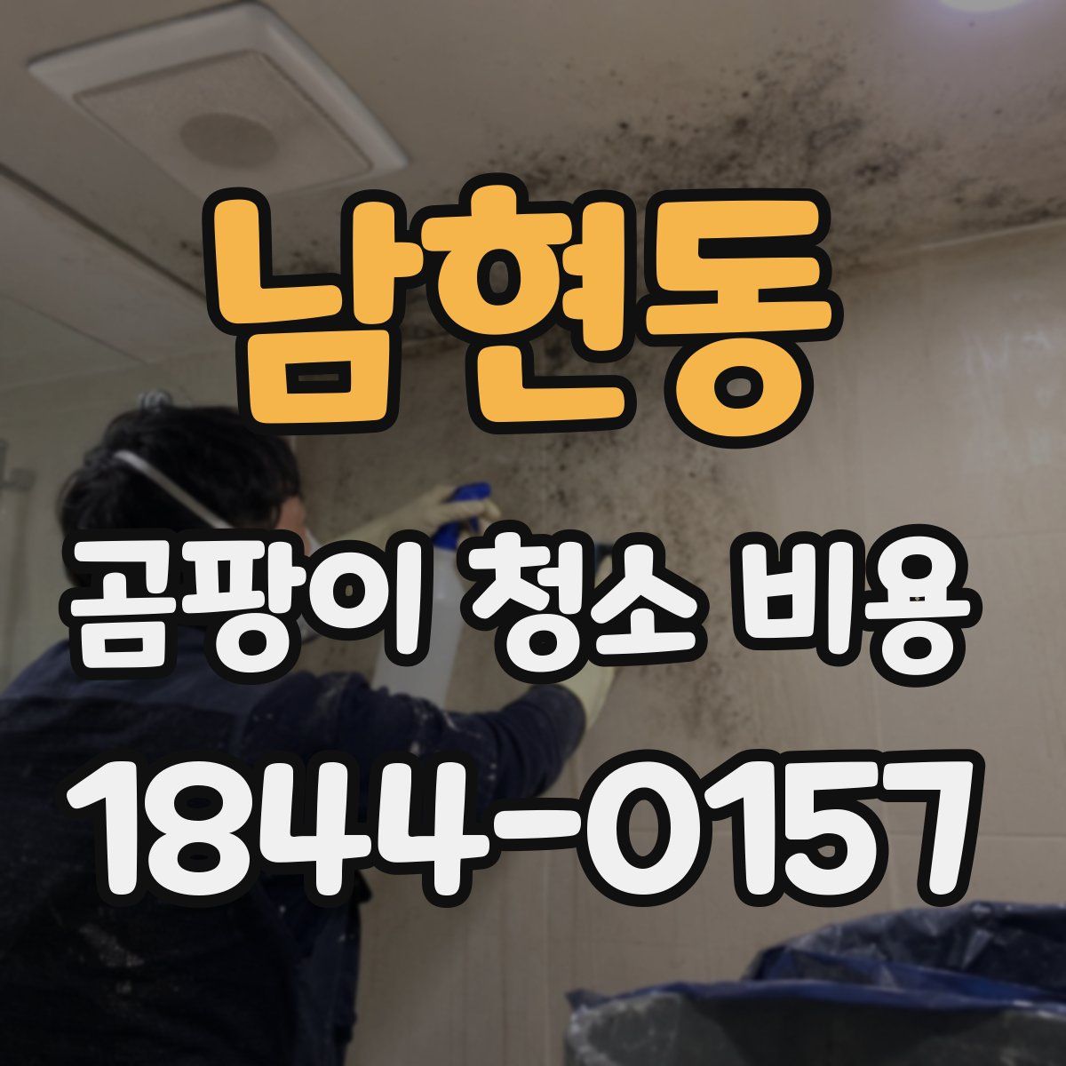 남현동 곰팡이 청소 비용