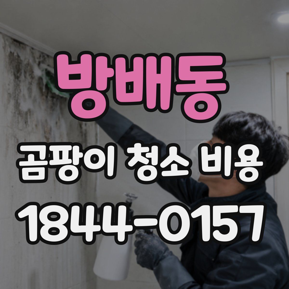 방배동 곰팡이 청소 비용
