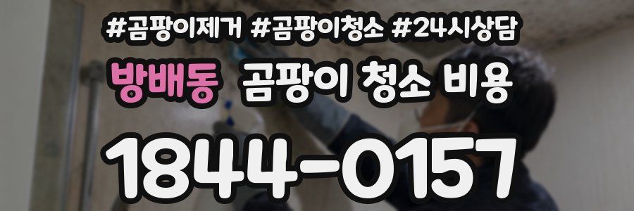 방배동 곰팡이 청소 비용