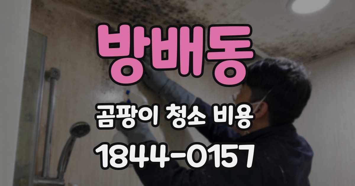 방배동 곰팡이 청소 비용