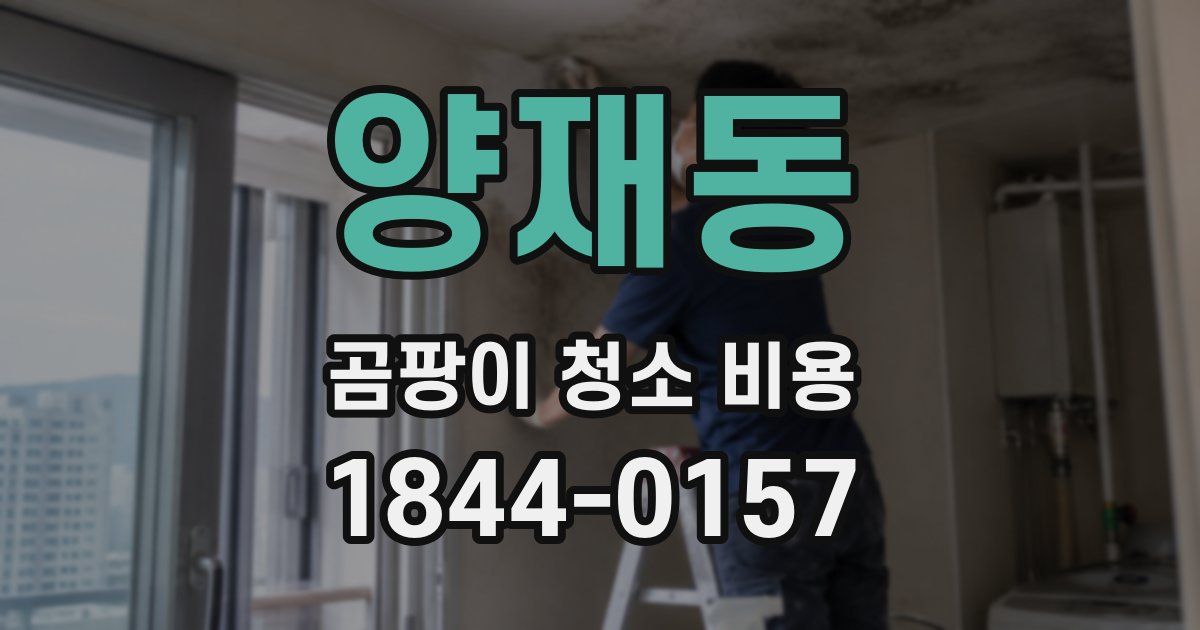 양재동 곰팡이 청소 비용
