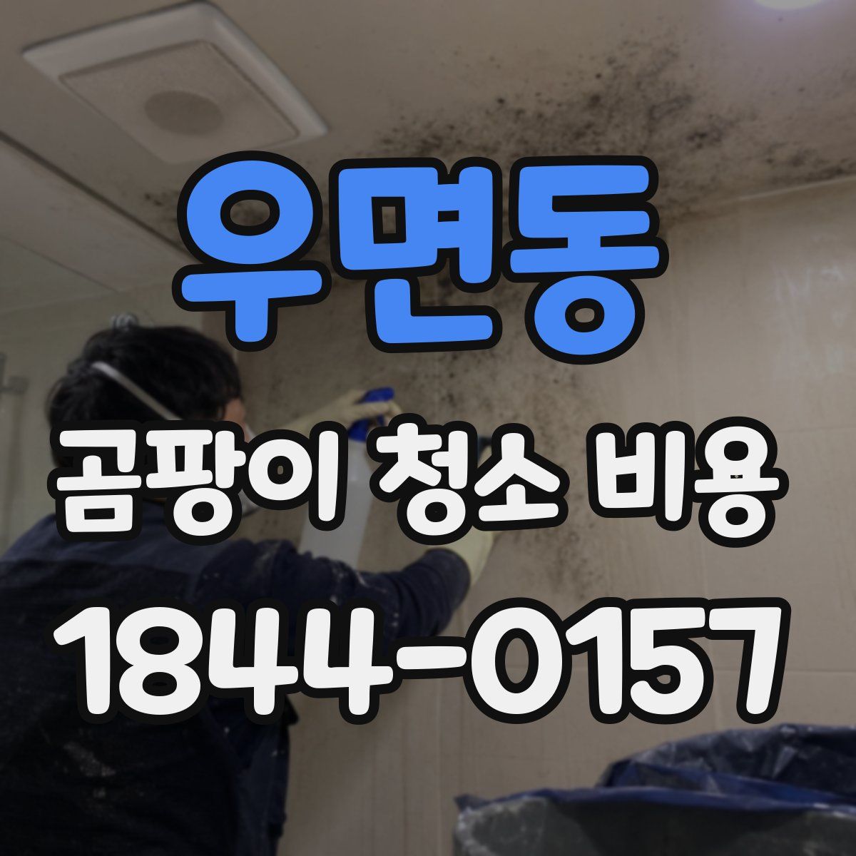 우면동 곰팡이 청소 비용