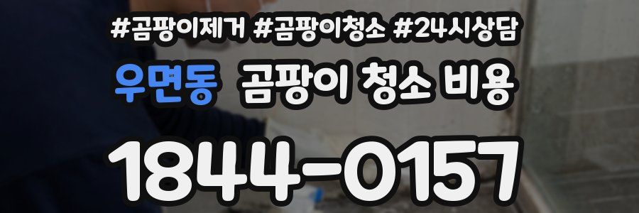 우면동 곰팡이 청소 비용