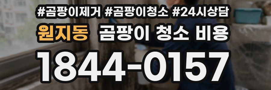 원지동 곰팡이 청소 비용