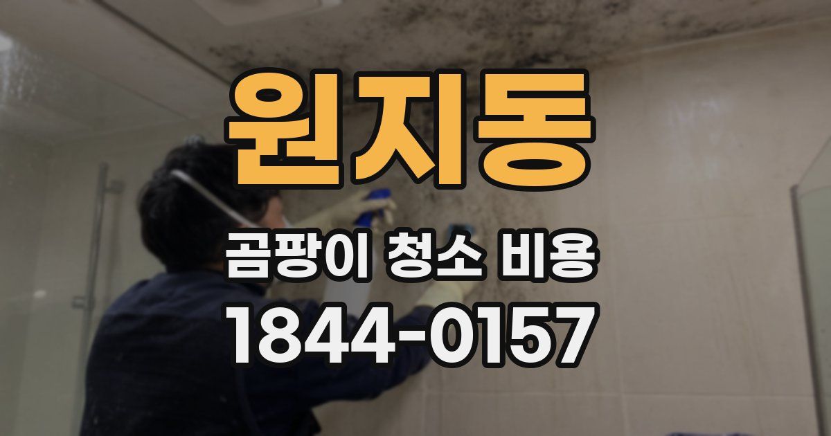 원지동 곰팡이 청소 비용