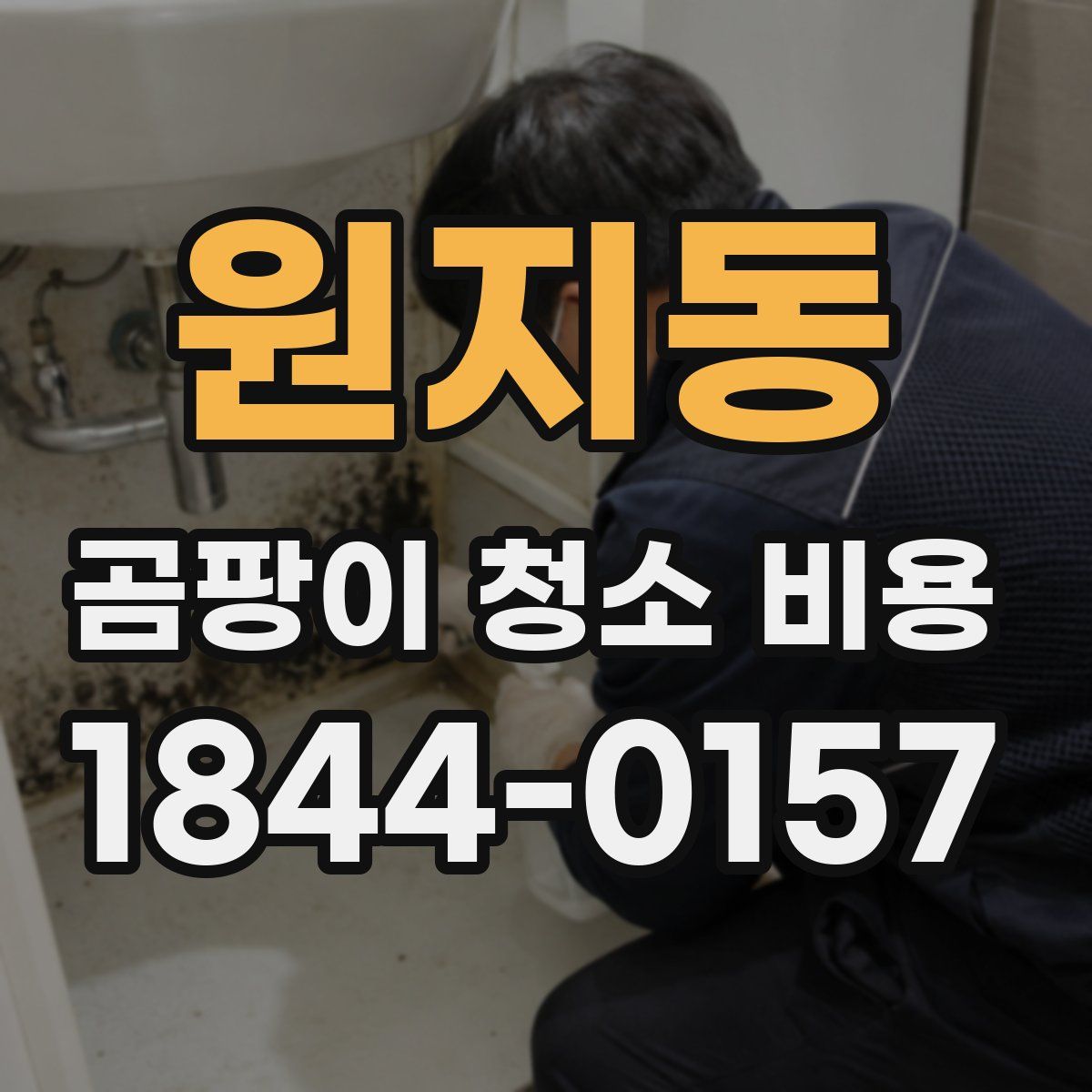 원지동 곰팡이 청소 비용