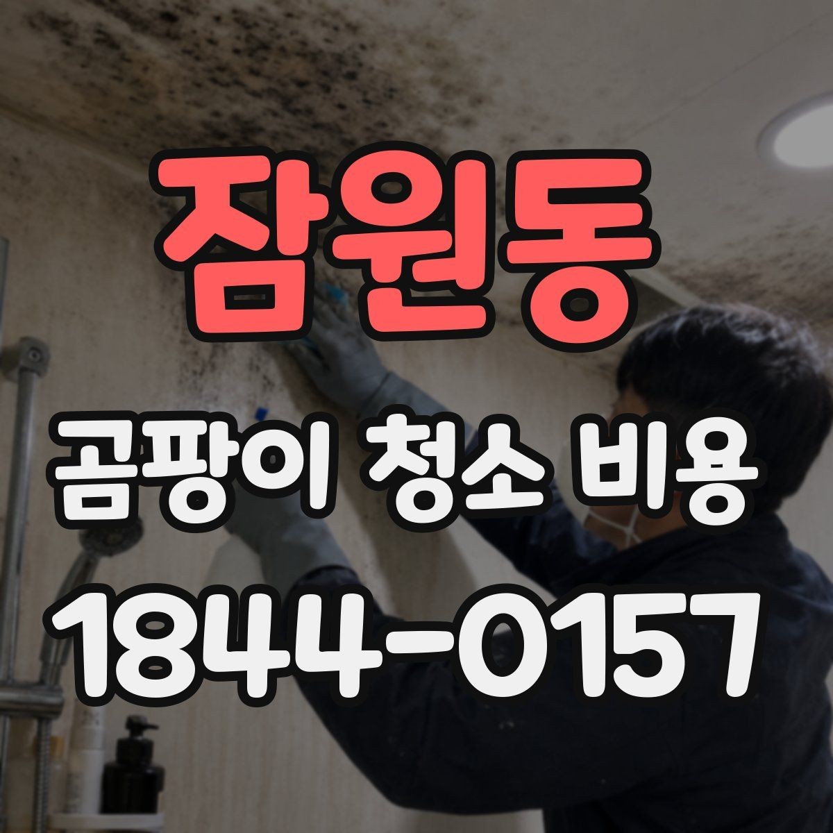 잠원동 곰팡이 청소 비용 상가 휴무일에 진행할 때 고려할 부분