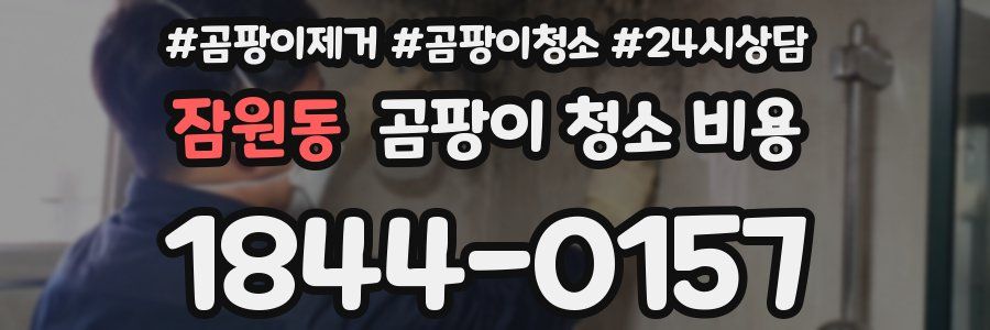 잠원동 곰팡이 청소 비용