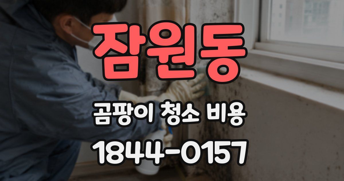 잠원동 곰팡이 청소 비용
