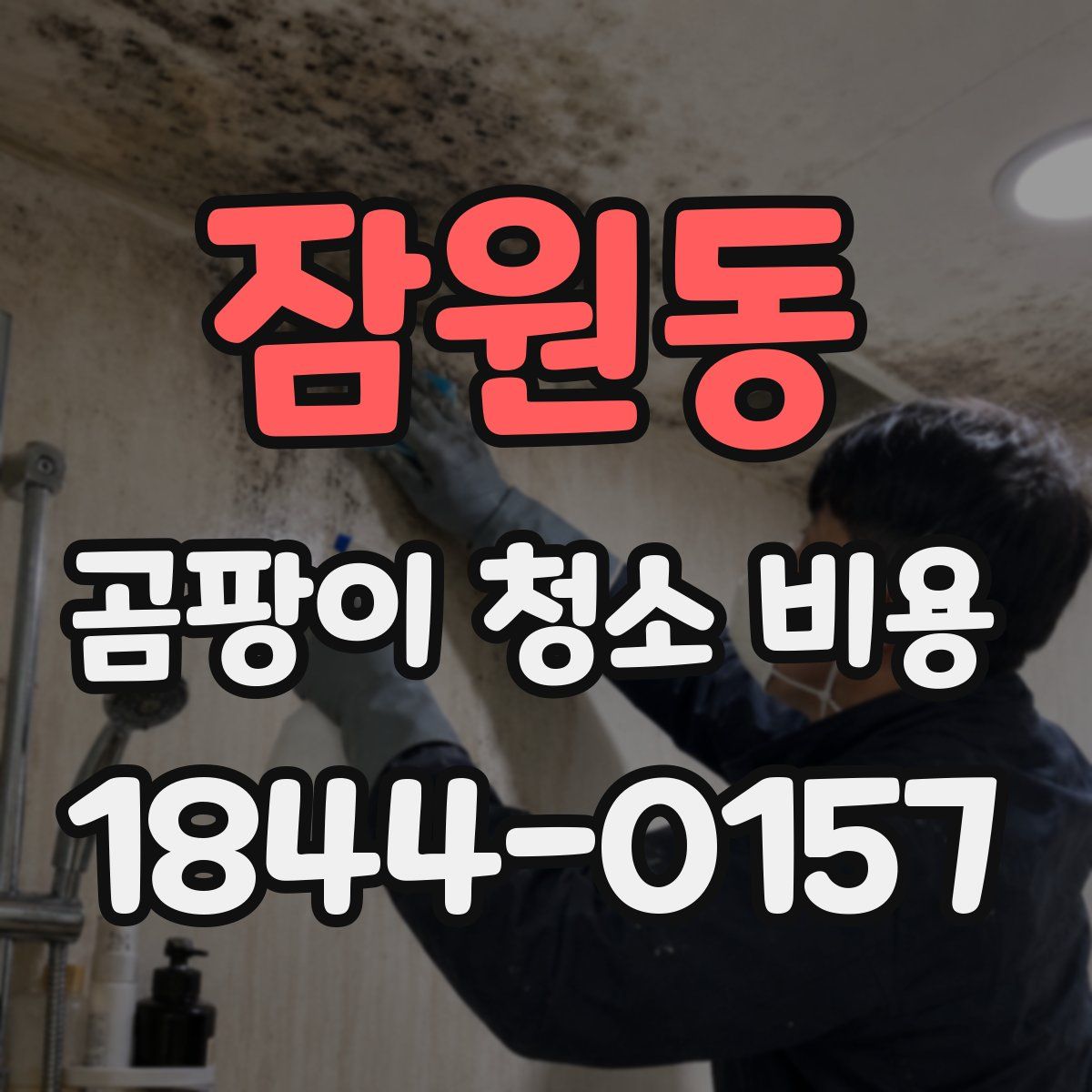 잠원동 곰팡이 청소 비용