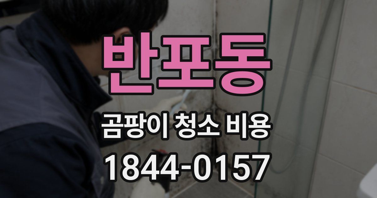 반포동 곰팡이 청소 비용