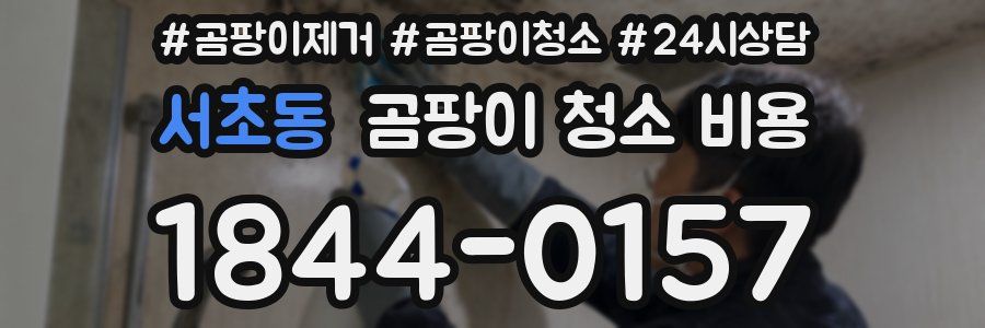 서초동 곰팡이 청소 비용