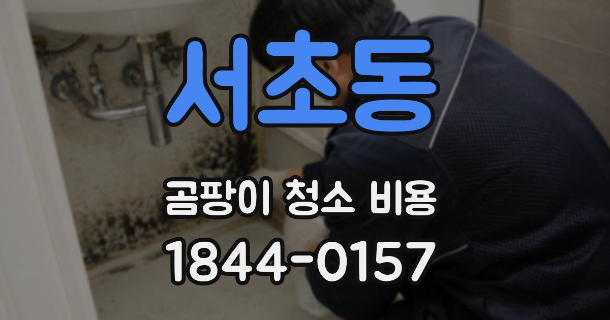 서초동 곰팡이 청소 비용