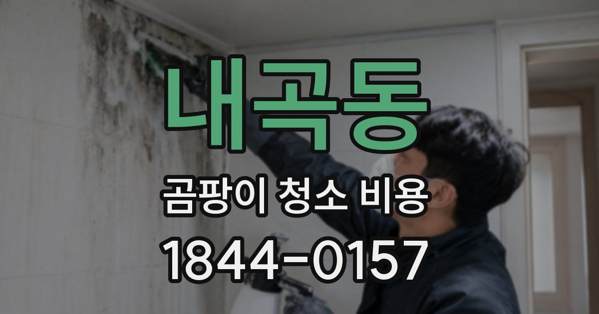 내곡동 곰팡이 청소 비용