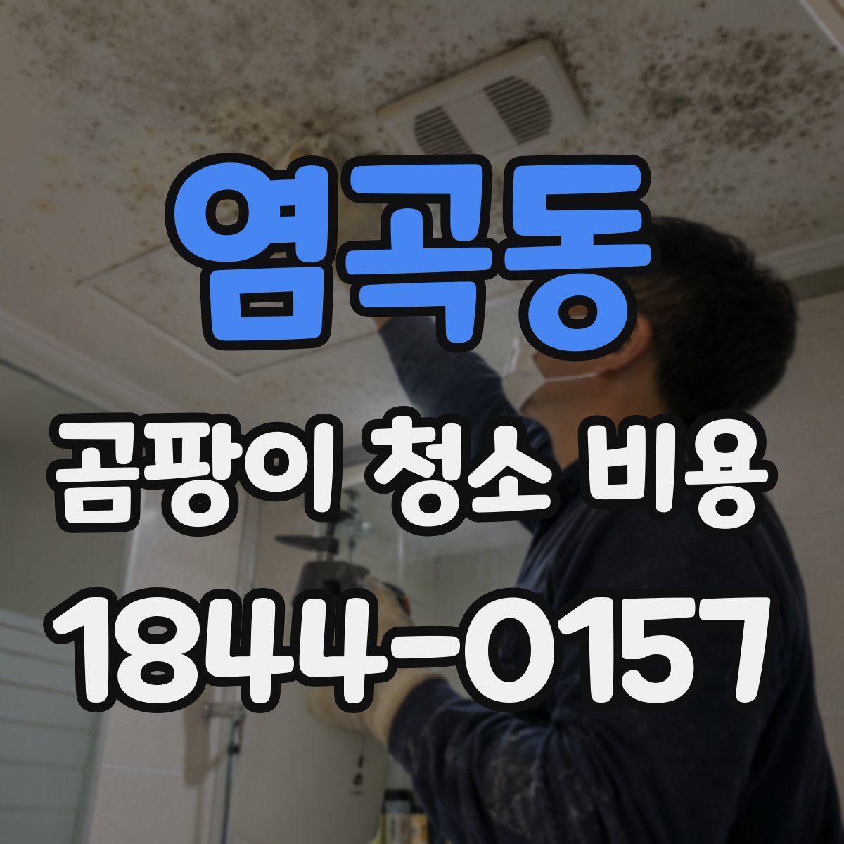 염곡동 곰팡이 청소 비용