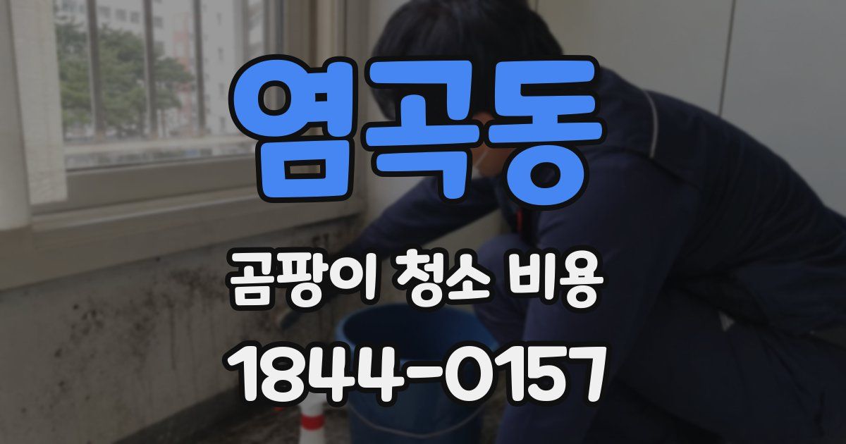 염곡동 곰팡이 청소 비용