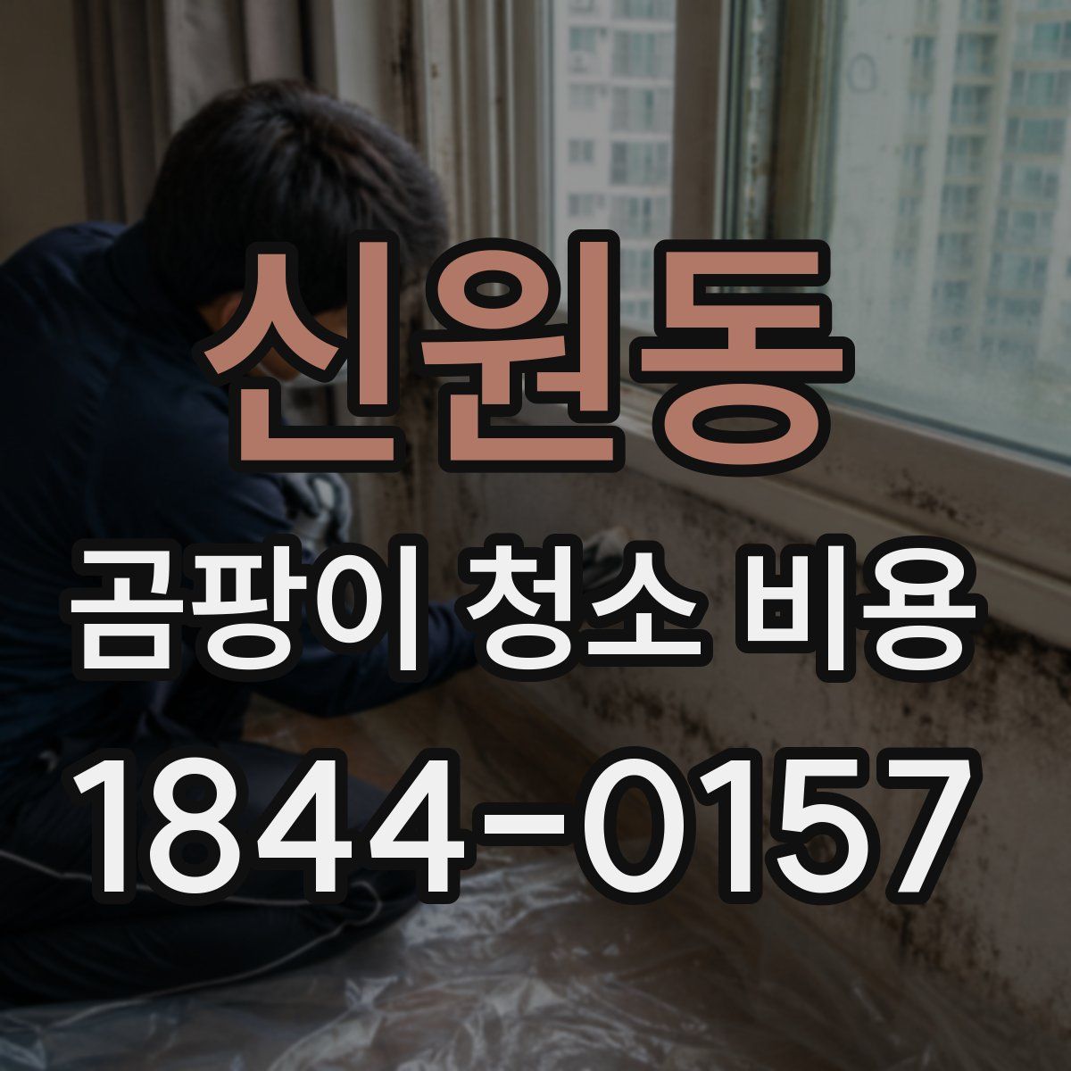 신원동 곰팡이 청소 비용