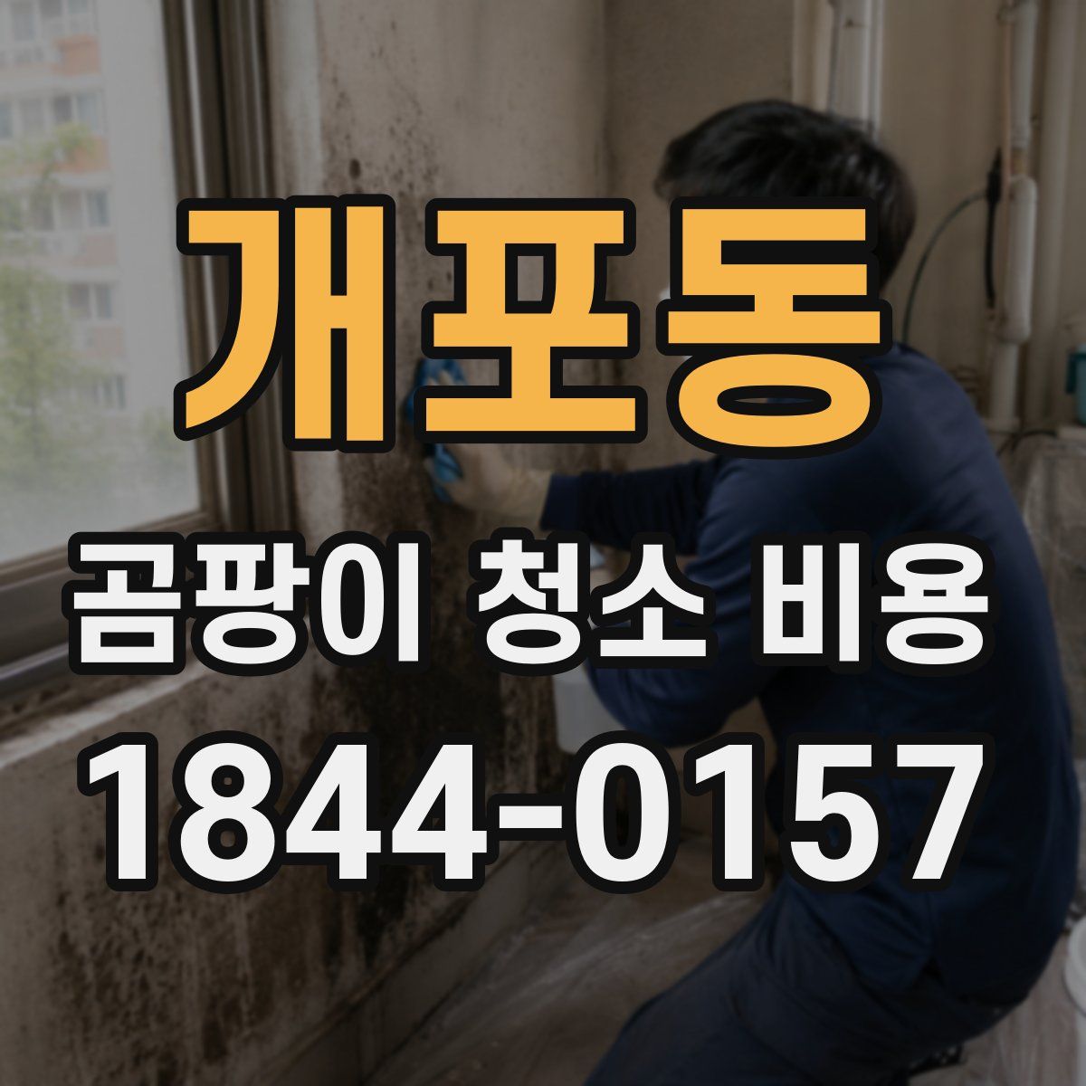 개포동 곰팡이 청소 비용