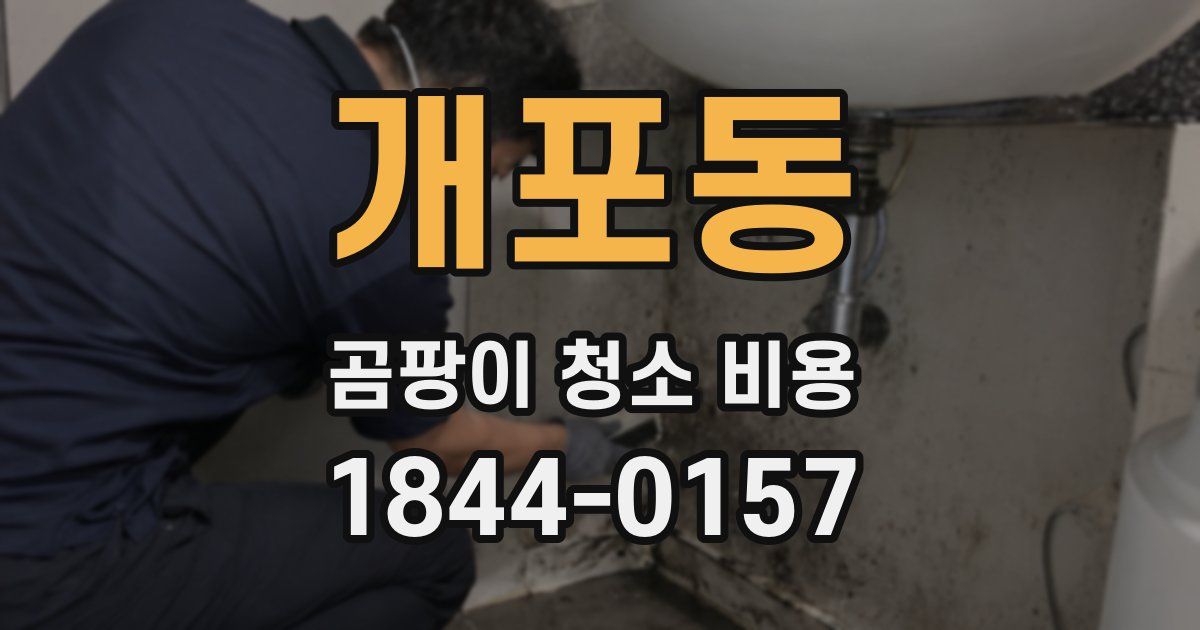 개포동 곰팡이 청소 비용