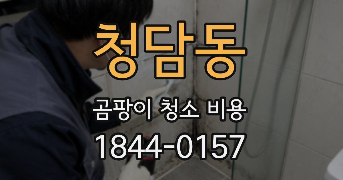 청담동 곰팡이 청소 비용
