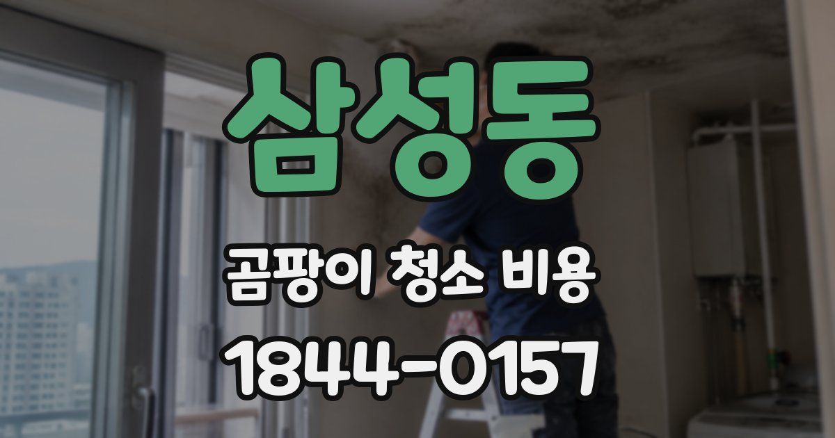 삼성동 곰팡이 청소 비용