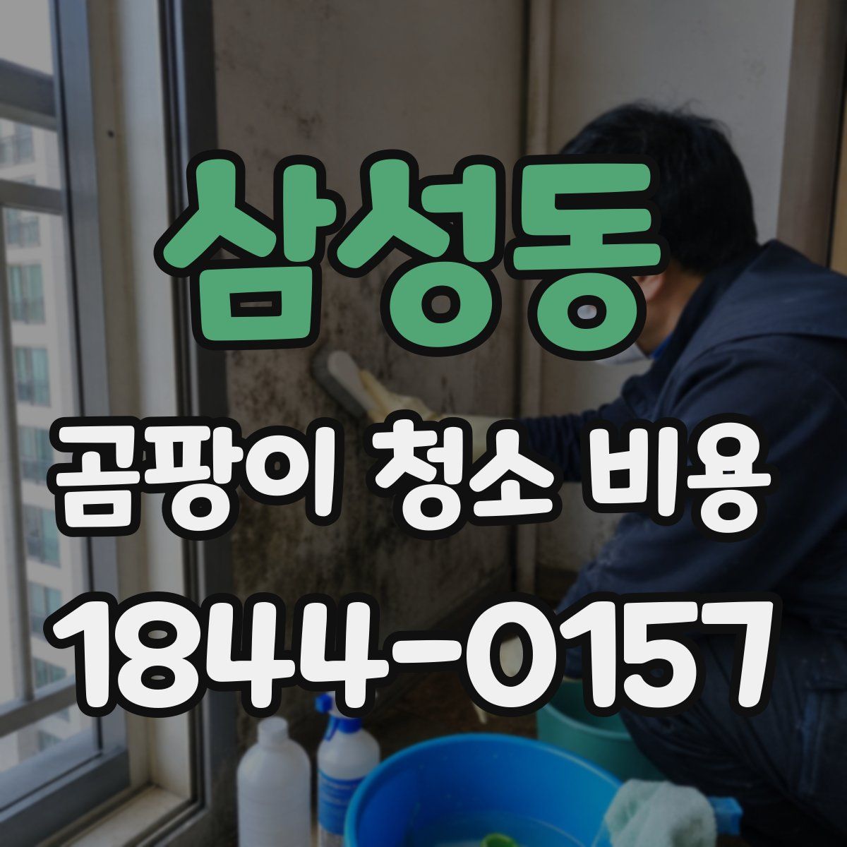 삼성동 곰팡이 청소 비용