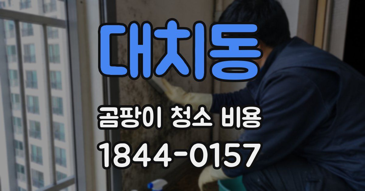 대치동 곰팡이 청소 비용