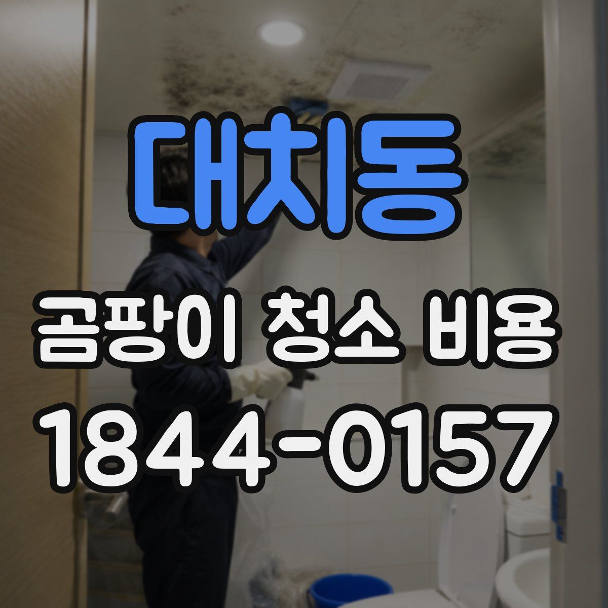 대치동 곰팡이 청소 비용