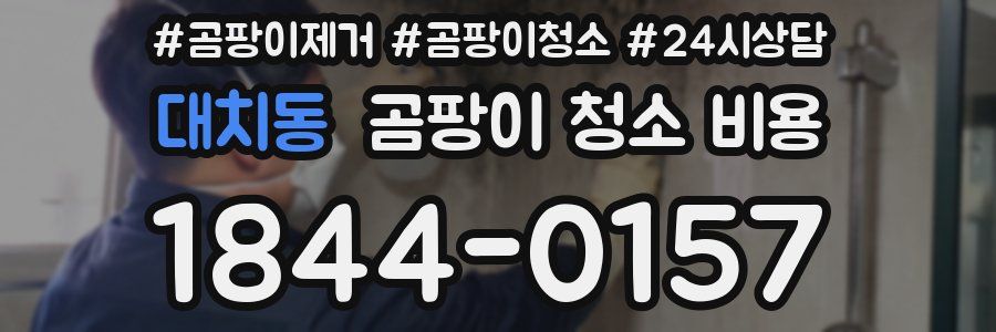 대치동 곰팡이 청소 비용