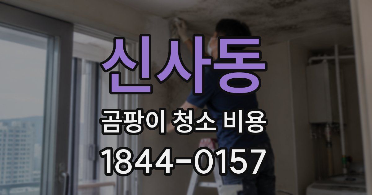 신사동 곰팡이 청소 비용
