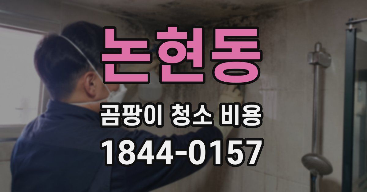 논현동 곰팡이 청소 비용