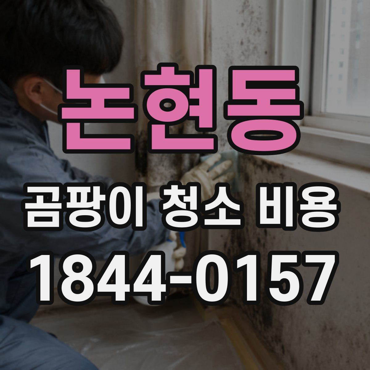 논현동 곰팡이 청소 비용