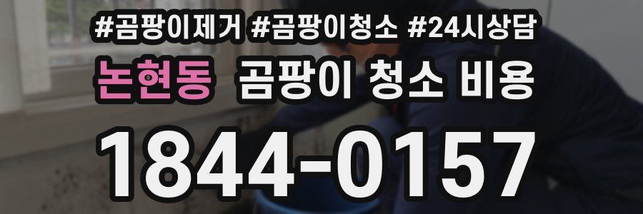 논현동 곰팡이 청소 비용