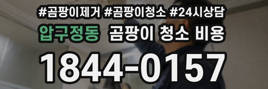 압구정동 곰팡이 청소 비용