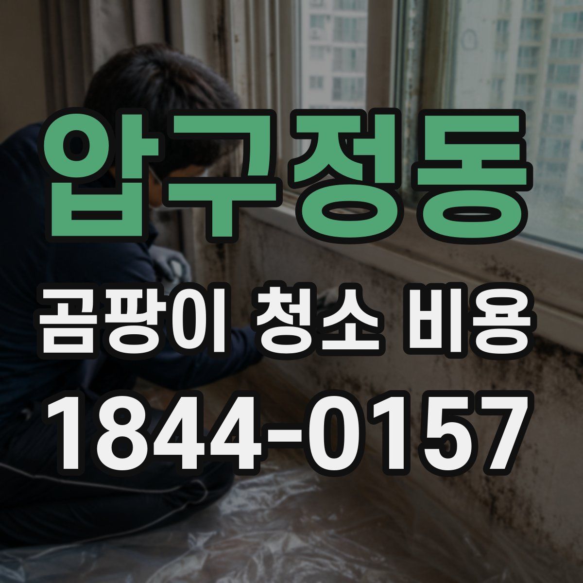 압구정동 곰팡이 청소 비용