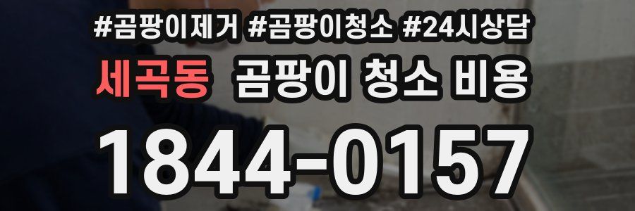 세곡동 곰팡이 청소 비용