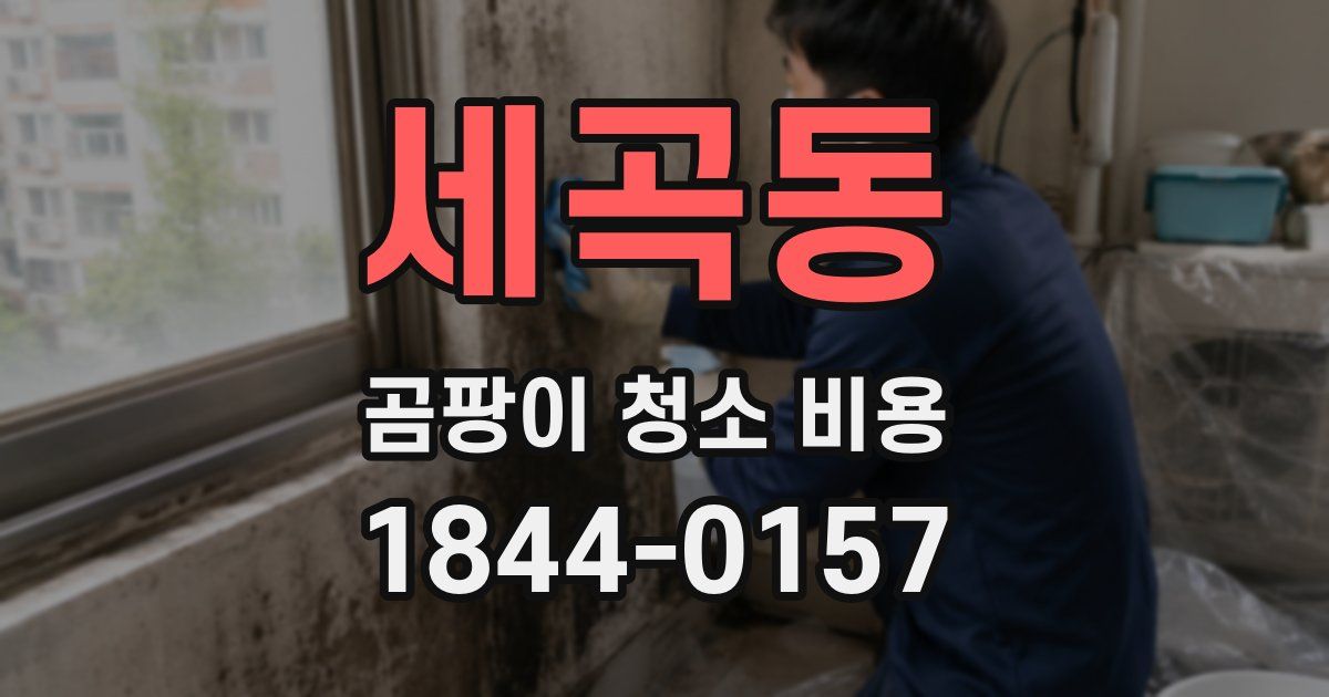 세곡동 곰팡이 청소 비용