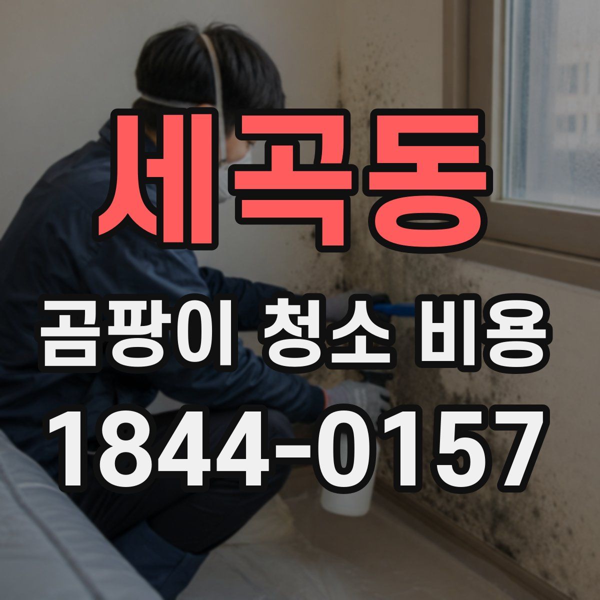 세곡동 곰팡이 청소 비용