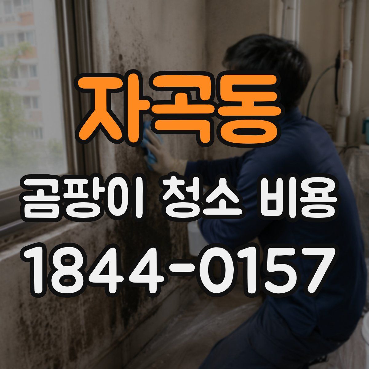 자곡동 곰팡이 청소 비용