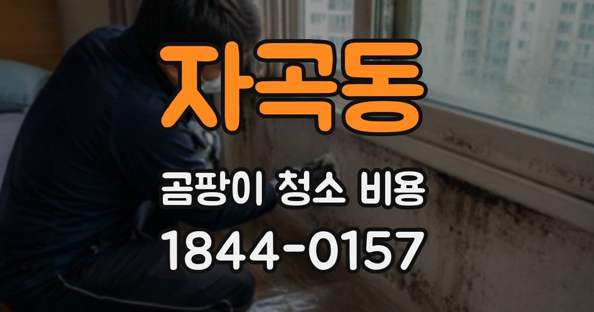 자곡동 곰팡이 청소 비용