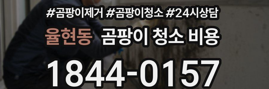 율현동 곰팡이 청소 비용