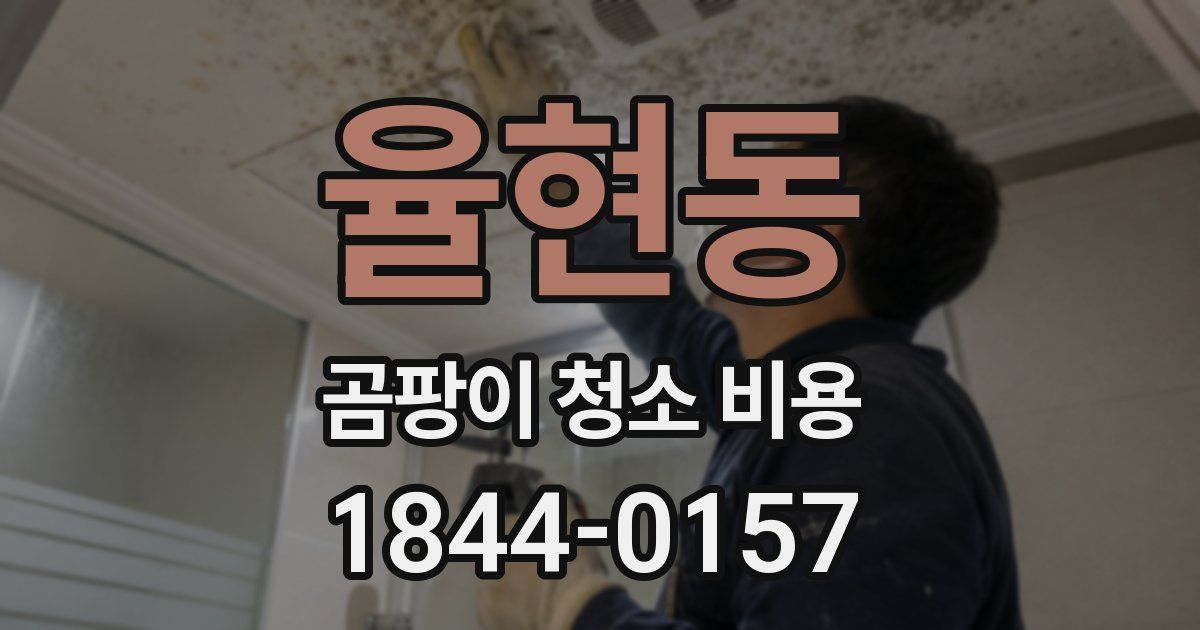 율현동 곰팡이 청소 비용