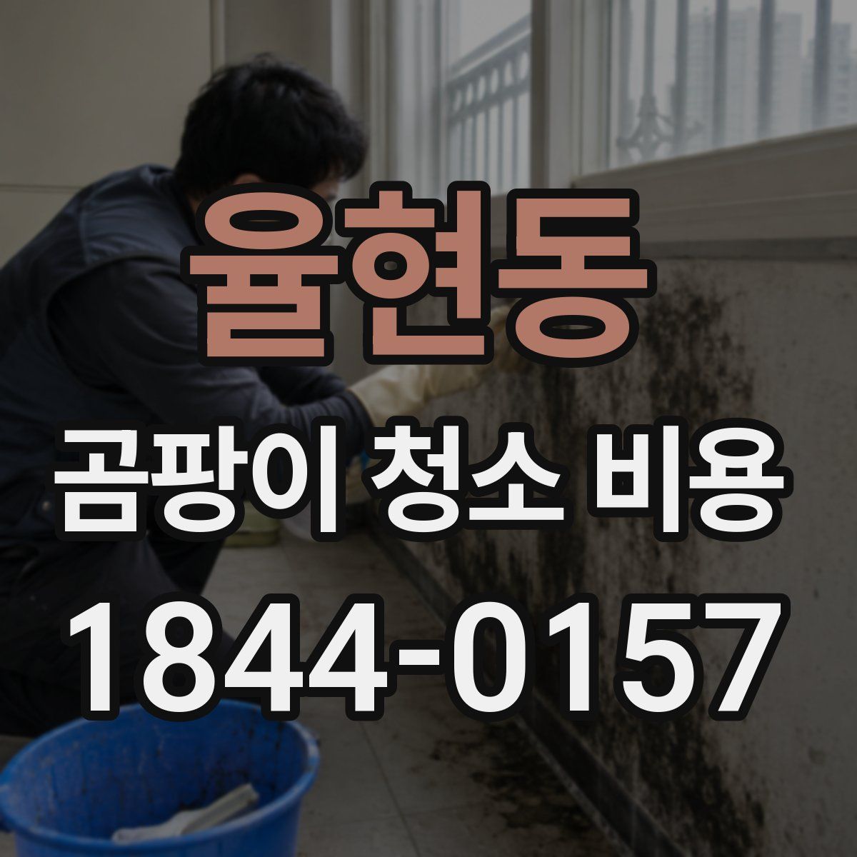 율현동 곰팡이 청소 비용