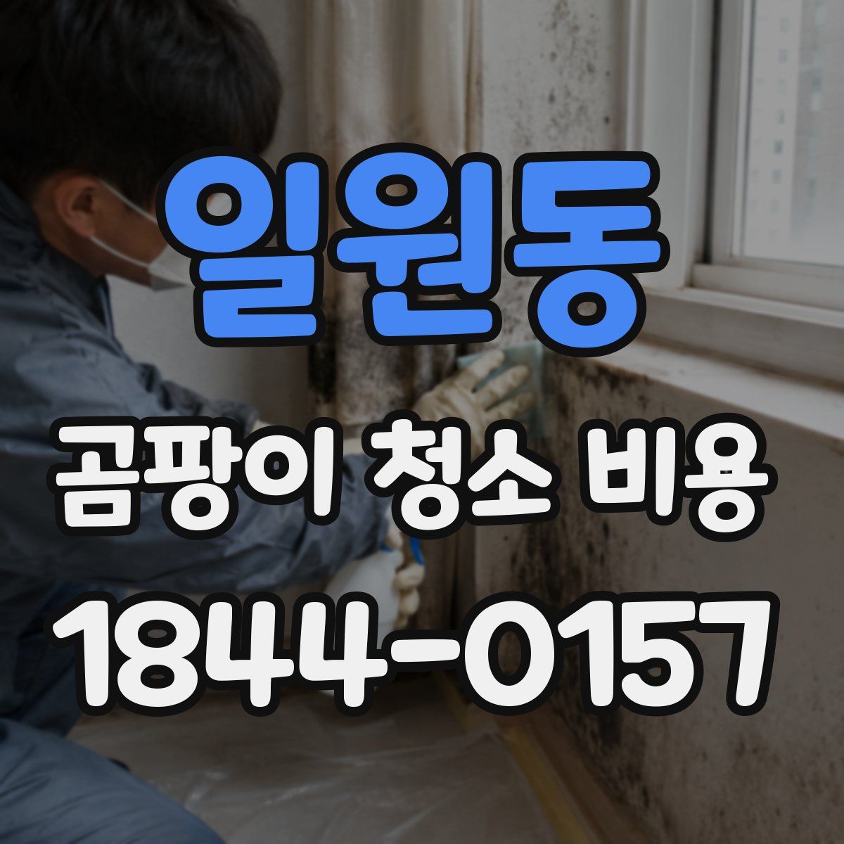 일원동 곰팡이 청소 비용