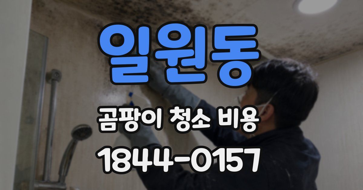 일원동 곰팡이 청소 비용