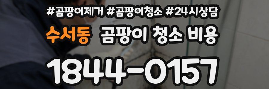 수서동 곰팡이 청소 비용