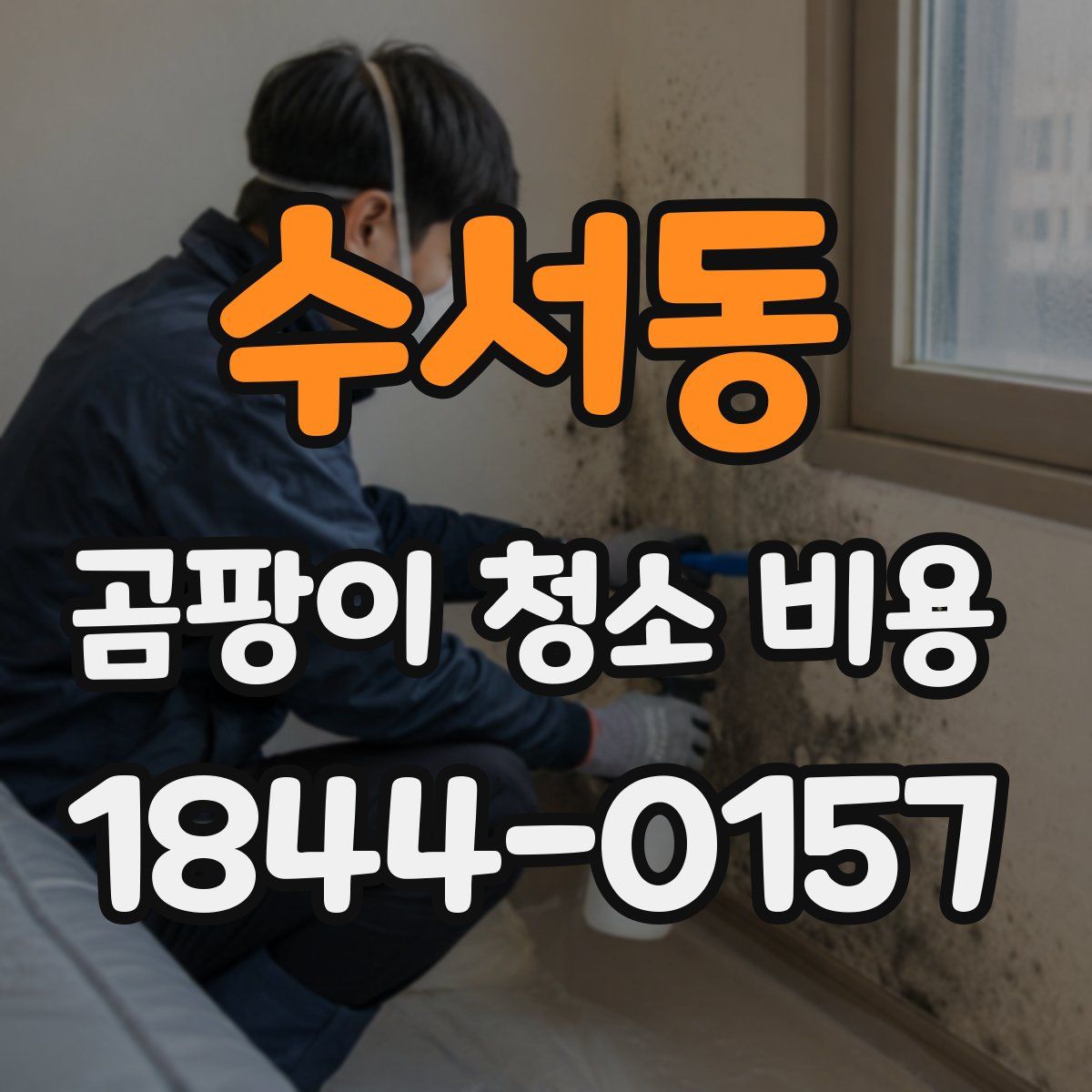 수서동 곰팡이 청소 비용