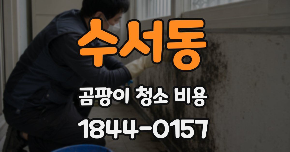 수서동 곰팡이 청소 비용