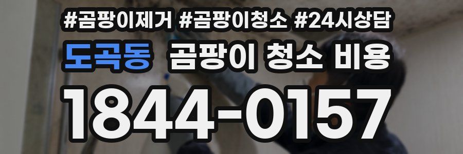 도곡동 곰팡이 청소 비용